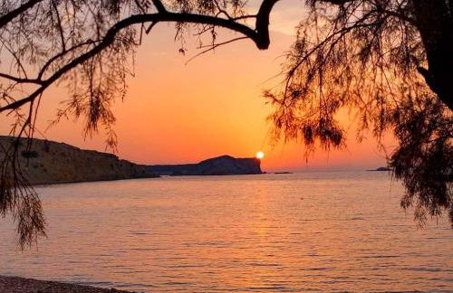 Kalypso Apartments - Foto 38