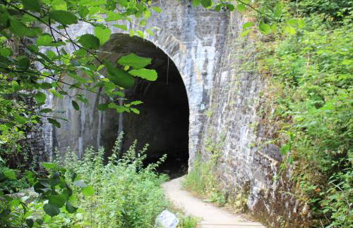 Ferienhaus Däschinger Das Zweiradparadies - Foto 61