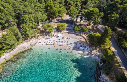 Holiday Home in Policnik with Private Pool - Foto 28