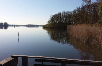 Ferienwohnung Müritzblick an der Müritz - Foto 23