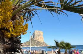 Esmeralda Suites Sunrise - Photo 68