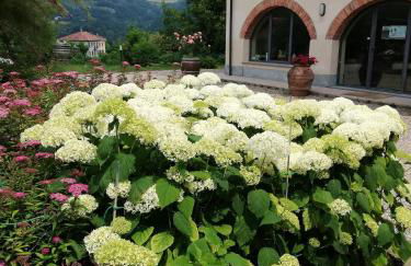 La Giribaldina Winery & Farmhouse - Foto 70