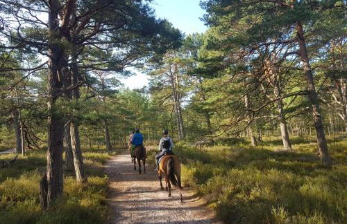 Zielony Domek z jacuzzi - Foto 41