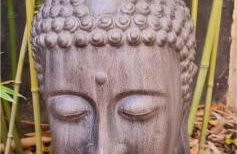 La Chambrette - Foto 29