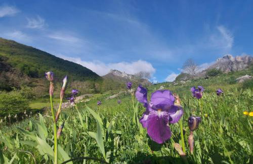 Apartamentos Nevandi - Photo 21
