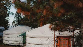 Cosy yurt at a nature retreat - Foto 2