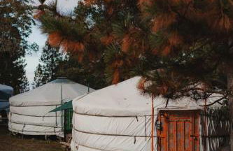 Cosy yurt at a nature retreat - Foto 2