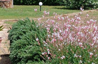 Petit Plaisance - Foto 11