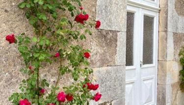 Villa Paignon Gite - Foto 5