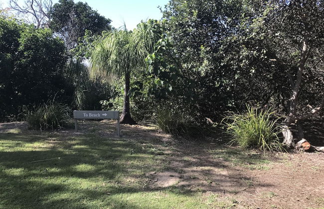 Glen Eden Beach Resort - Foto 62