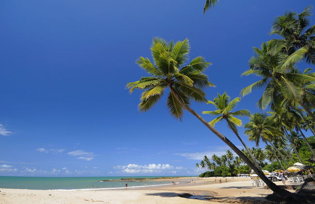 Chocolate com Pimenta Edifício - Photo 51