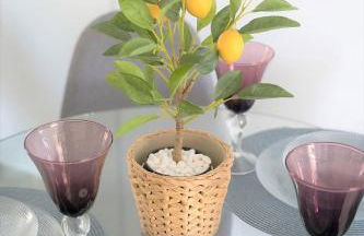 El Limonar de la Ribera Parking Art - Foto 11