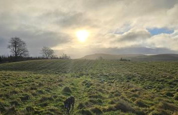 Mike's 3-bedroom Countryside Cottage - Foto 37