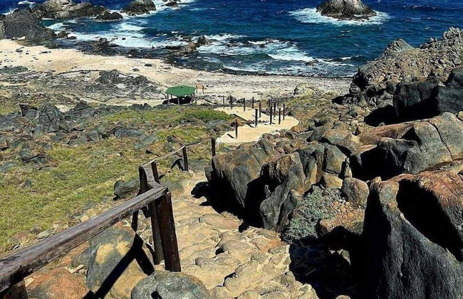 Love and Peace Vacation Rental Aruba - Foto 22