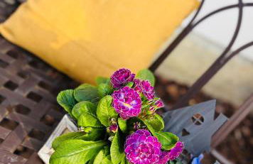 Ferienhaus Im Grünen - Foto 18