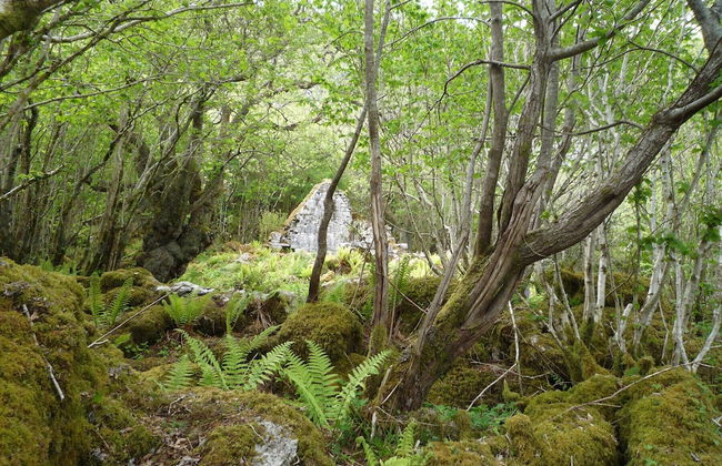 KINVARA SUITES - Foto 16