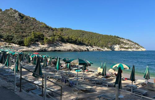 Villetta Lilly - Pugnochiuso - Foto 19