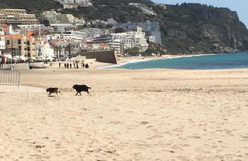 Casa vista Azul - Foto 64