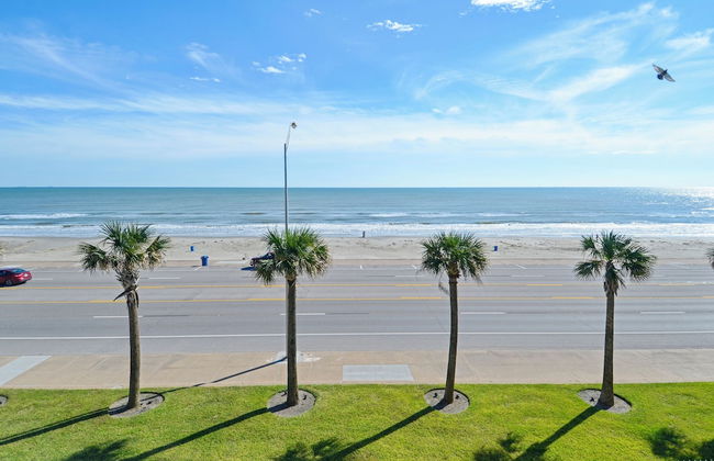 Absolute Paradise-dawn 1031 - Photo 4