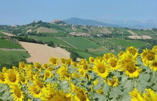 Agriturismo San Michele - Foto 19