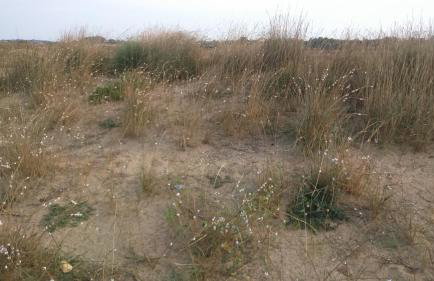 Apartments Ninske Vodice - Photo 26