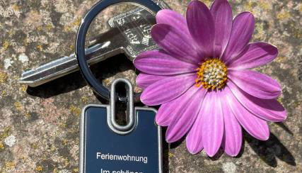 Ferienwohnung im schönen Zellertal - Foto 2