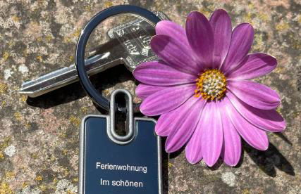 Ferienwohnung im schönen Zellertal - Foto 2