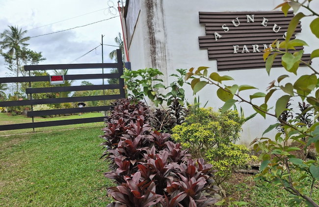 Asuneus Farm - Foto 19