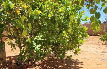 Espaço para Evento e temporada - Foto 9