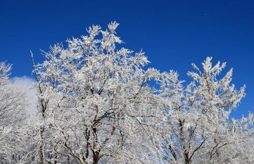 Ferienhaus zur Glocke - Foto 40