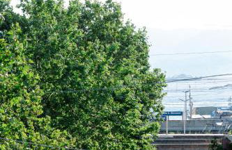 Calabreeze - Photo 52