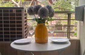 NEW VIP piscina y gimnasio - Foto 26