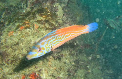 Le fournil - Foto 12