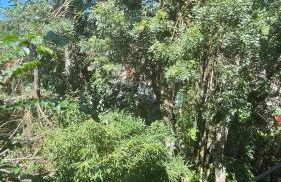 Pousada Recanto Gramado - Photo 27