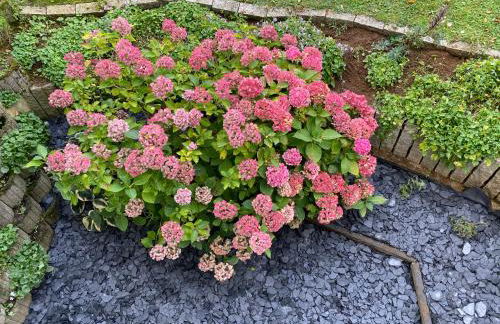 Modern studio apartment with exterior entrance in Nuremberg suburb - Foto 16