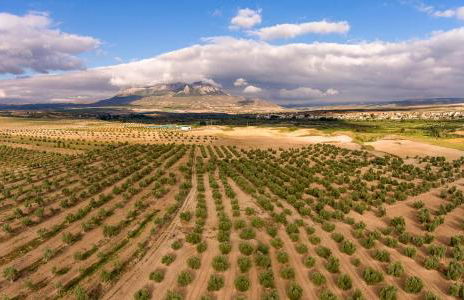 Cueva El Murallon Benamaurel - Foto 46