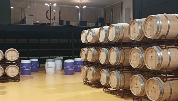 Learn about the elaboration process of famous wine