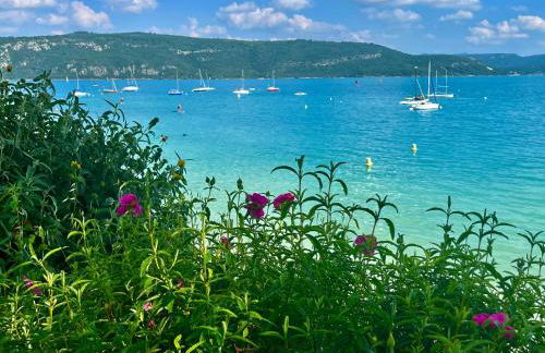 Gite Harmonie - Foto 43