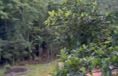 Marujada Experience Corisco Paraty - Foto 1