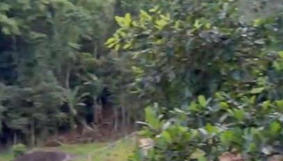 Marujada Experience Corisco Paraty - Foto 1