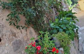 Masia Cal Fuster - Foto 75