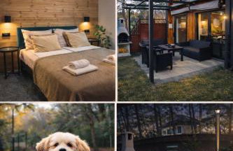 DOMKI BURSZTYN - Foto 4