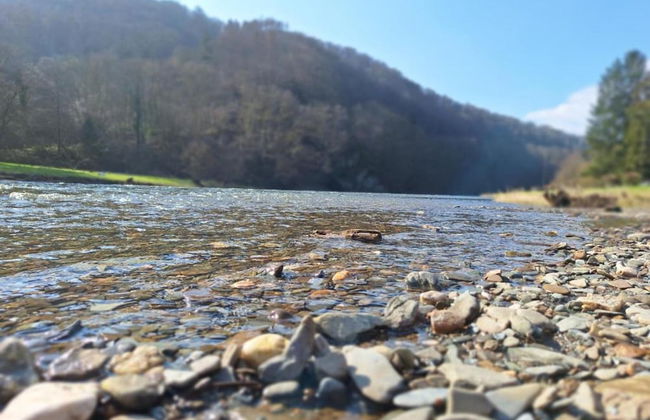 Nature Escape in Nafraiture - Foto 37