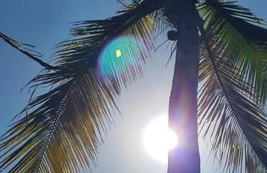 Santos, refúgio urbano em frente ao mar - Foto 38