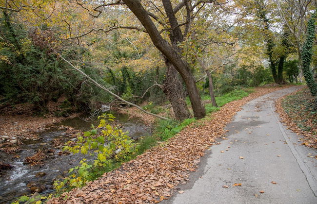 Serenity River Villa - Foto 41