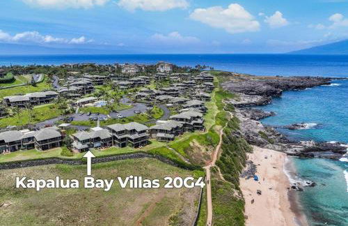 Kapalua Bay Villas 20G4 · KBV 20G4 Updated OceanFront for Whale - Foto 43