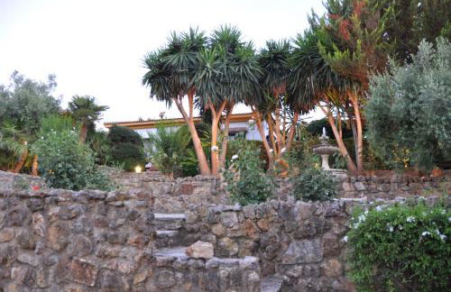 La Algazara - Foto 12