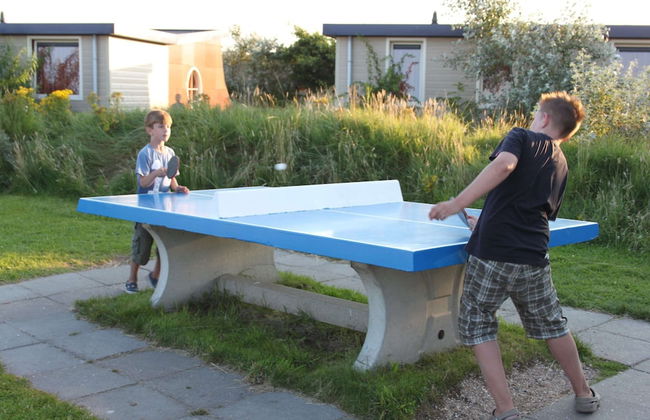 Bungalow in 's-gravenzande With Nautical Charm - Photo 27