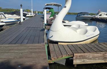 AB Musiol - Photo 21