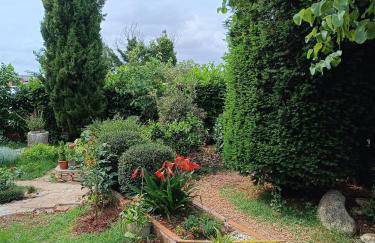 Casetta Olivetta - Foto 30